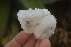 Natural Drusy Quartz Coated Calcite Pseudomorph Specimens x 12 From Lesotho - Toprock Gemstones and Minerals 