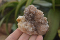Natural Drusy Quartz Coated Calcite Pseudomorph Specimens x 12 From Lesotho - Toprock Gemstones and Minerals 