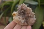 Natural Drusy Quartz Coated Calcite Pseudomorph Specimens x 12 From Lesotho - Toprock Gemstones and Minerals 