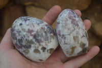 Polished Rubellite Pink Tourmaline Standing Free Forms x 6 From Madagascar - Toprock Gemstones and Minerals 