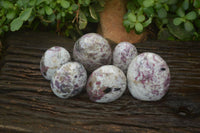 Polished Rubellite Pink Tourmaline Standing Free Forms x 6 From Madagascar - Toprock Gemstones and Minerals 