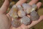 Natural Ametrine Spirit Quartz Crystals x 24 From Boekenhouthoek, South Africa - Toprock Gemstones and Minerals 