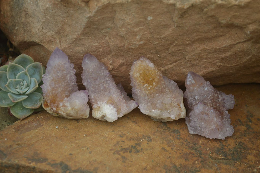 Natural Ametrine Spirit Quartz Crystals x 24 From Boekenhouthoek, South Africa - Toprock Gemstones and Minerals 
