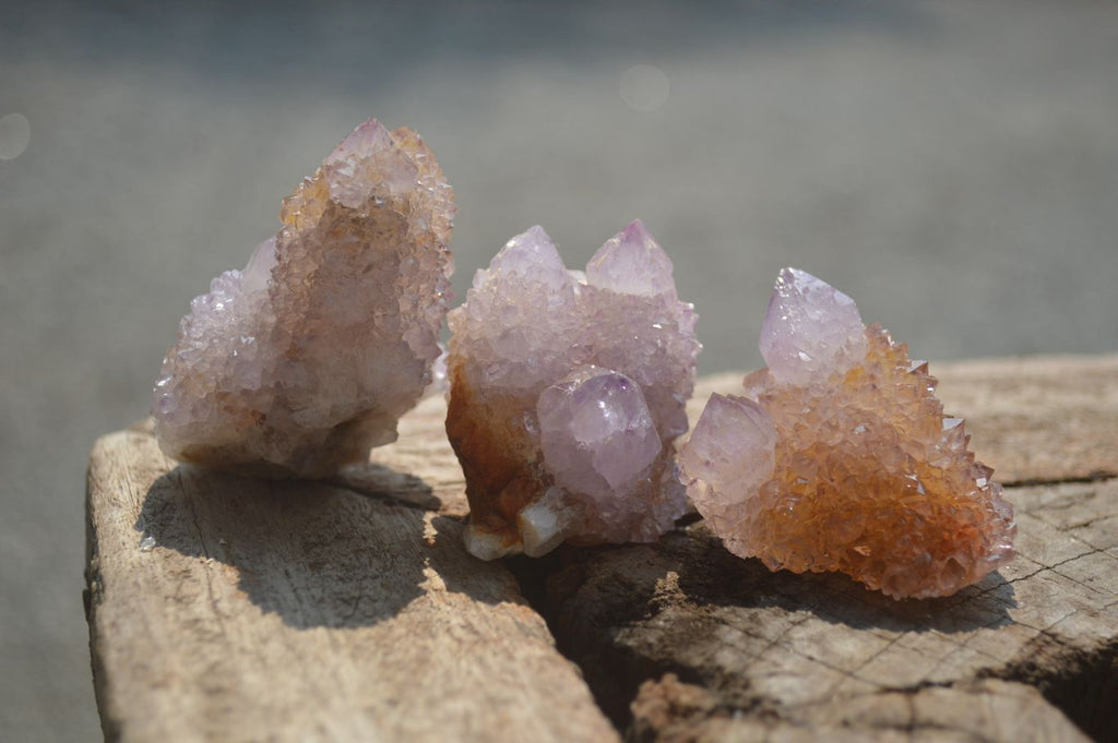 Natural Ametrine Spirit Quartz Crystals x 24 From Boekenhouthoek, South Africa - Toprock Gemstones and Minerals 