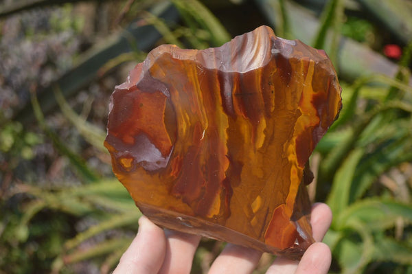 Polished On One Side Nguni Jasper Specimens x 3 From Prieska, South Africa - Toprock Gemstones and Minerals 