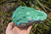 Natural Botryoidal Malacolla Specimens x 2 From Kulukuluku, Congo - Toprock Gemstones and Minerals 
