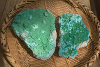 Natural Botryoidal Malacolla Specimens x 2 From Kulukuluku, Congo - Toprock Gemstones and Minerals 