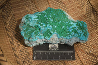 Natural Botryoidal Malacolla Specimens x 2 From Kulukuluku, Congo - Toprock Gemstones and Minerals 