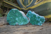 Natural Botryoidal Malacolla Specimens x 2 From Kulukuluku, Congo - Toprock Gemstones and Minerals 