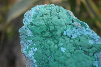 Natural Botryoidal Malacolla Specimens x 2 From Kulukuluku, Congo - Toprock Gemstones and Minerals 