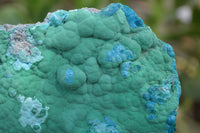 Natural Botryoidal Malacolla Specimens x 2 From Kulukuluku, Congo - Toprock Gemstones and Minerals 