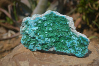 Natural Botryoidal Malacolla Specimens x 2 From Kulukuluku, Congo - Toprock Gemstones and Minerals 