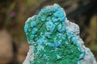 Natural Botryoidal Malacolla Specimens x 2 From Kulukuluku, Congo - Toprock Gemstones and Minerals 