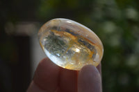 Polished Clear Quartz Palm Stones x 40 From Madagascar - Toprock Gemstones and Minerals 