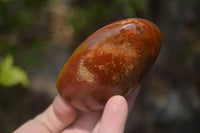 Polished Red Jasper Standing Free Forms x 6 From Madagascar - Toprock Gemstones and Minerals 