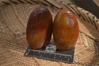 Polished Red Jasper Standing Free Forms x 6 From Madagascar - Toprock Gemstones and Minerals 