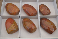 Polished Red Jasper Standing Free Forms x 6 From Madagascar - Toprock Gemstones and Minerals 