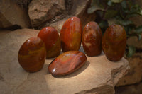 Polished Red Jasper Standing Free Forms x 6 From Madagascar - Toprock Gemstones and Minerals 