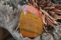Polished Red Jasper Standing Free Forms x 6 From Madagascar - Toprock Gemstones and Minerals 