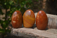 Polished Red Jasper Standing Free Forms x 6 From Madagascar - Toprock Gemstones and Minerals 