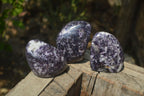 Polished Lepidolite Standing Free Forms x 3 From Zimbabwe - Toprock Gemstones and Minerals 