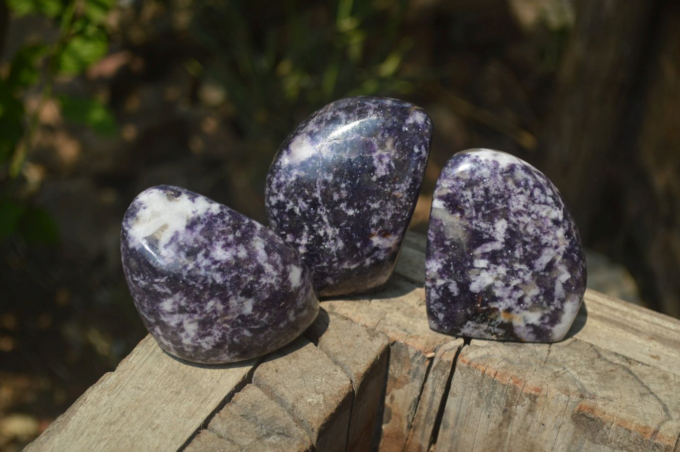 Polished Lepidolite Standing Free Forms x 3 From Zimbabwe - Toprock Gemstones and Minerals 