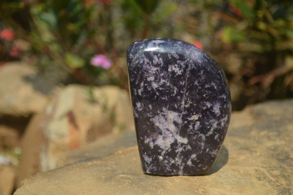 Polished Lepidolite Standing Free Forms x 3 From Zimbabwe - Toprock Gemstones and Minerals 