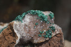 Natural Ball Malachite On Quartz Matrix Specimen x 1 From Kambove, Congo - Toprock Gemstones and Minerals 