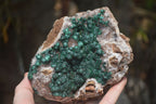 Natural Ball Malachite On Quartz Matrix Specimen x 1 From Kambove, Congo - Toprock Gemstones and Minerals 