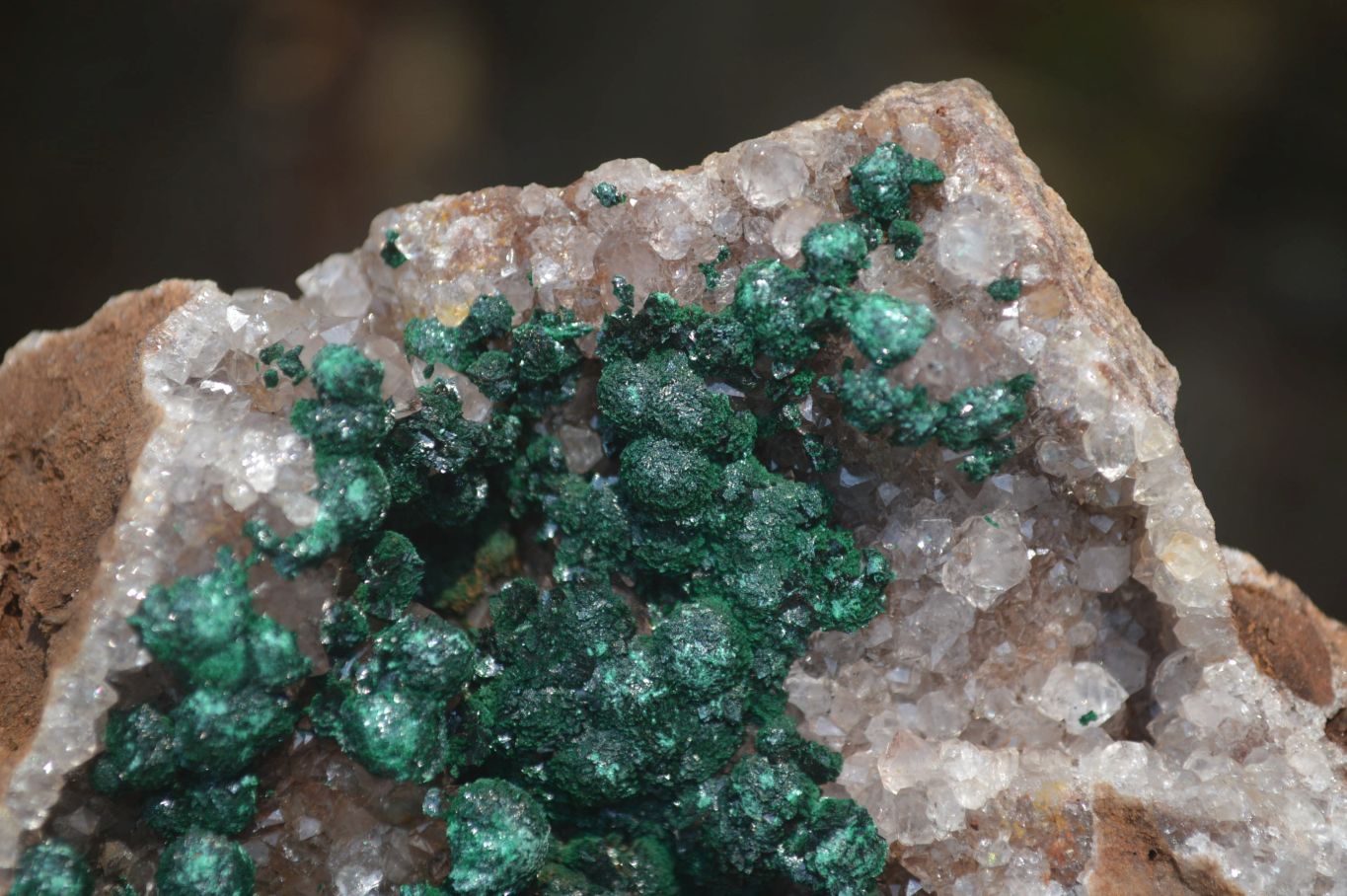 Natural Ball Malachite On Quartz Matrix Specimen x 1 From Kambove, Congo - Toprock Gemstones and Minerals 