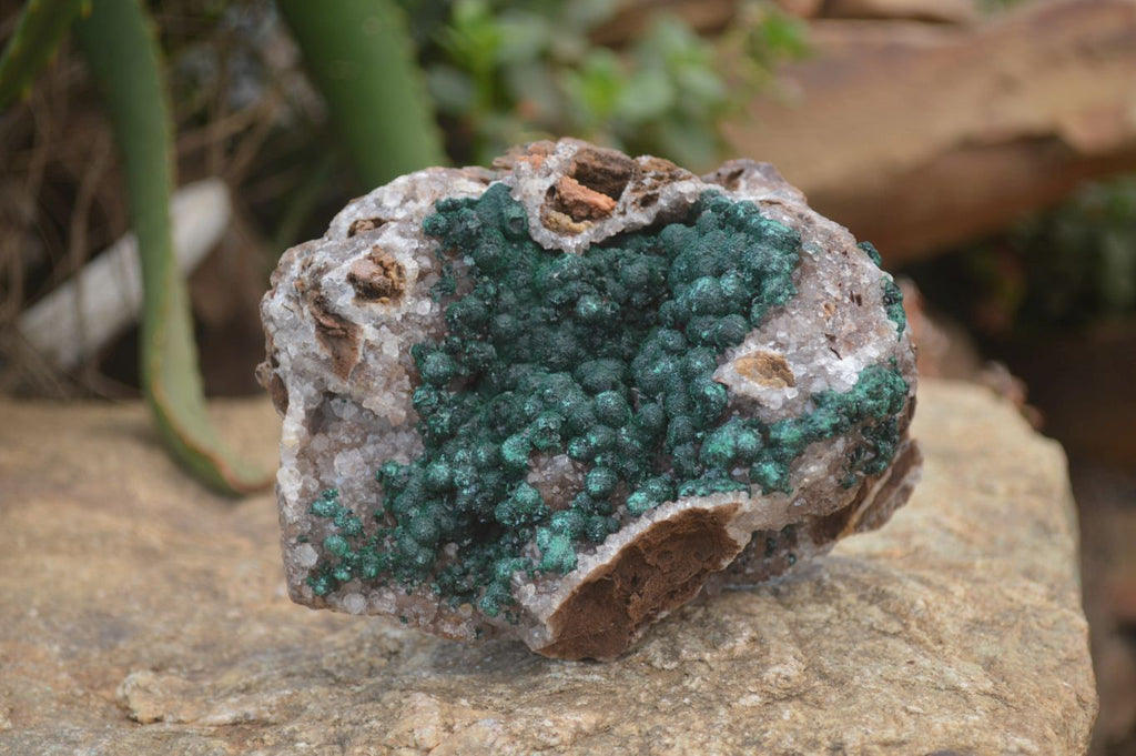 Natural Ball Malachite On Quartz Matrix Specimen x 1 From Kambove, Congo - Toprock Gemstones and Minerals 