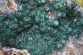 Natural Ball Malachite On Quartz Matrix Specimen x 1 From Kambove, Congo - Toprock Gemstones and Minerals 