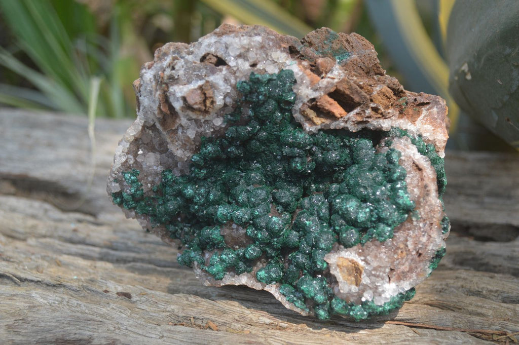 Natural Ball Malachite On Quartz Matrix Specimen x 1 From Kambove, Congo - Toprock Gemstones and Minerals 