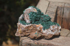 Natural Ball Malachite On Quartz Matrix Specimen x 1 From Kambove, Congo - Toprock Gemstones and Minerals 