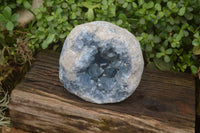 Natural Celestite Geode Specimen x 1 From Sakoany, Madagascar - Toprock Gemstones and Minerals 