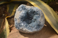 Natural Celestite Geode Specimen x 1 From Sakoany, Madagascar - Toprock Gemstones and Minerals 