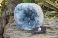 Natural Celestite Geode Specimen x 1 From Sakoany, Madagascar - Toprock Gemstones and Minerals 
