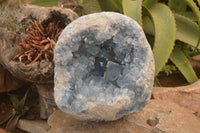 Natural Celestite Geode Specimen x 1 From Sakoany, Madagascar - Toprock Gemstones and Minerals 