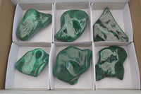 Polished Flower Banded Malachite Free Forms x 6 From Congo - Toprock Gemstones and Minerals 