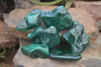 Polished Flower Banded Malachite Free Forms x 6 From Congo - Toprock Gemstones and Minerals 