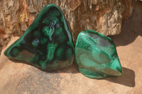 Polished Flower Banded Malachite Free Forms x 6 From Congo - Toprock Gemstones and Minerals 