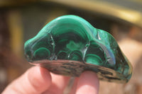 Polished Flower Banded Malachite Free Forms x 6 From Congo - Toprock Gemstones and Minerals 