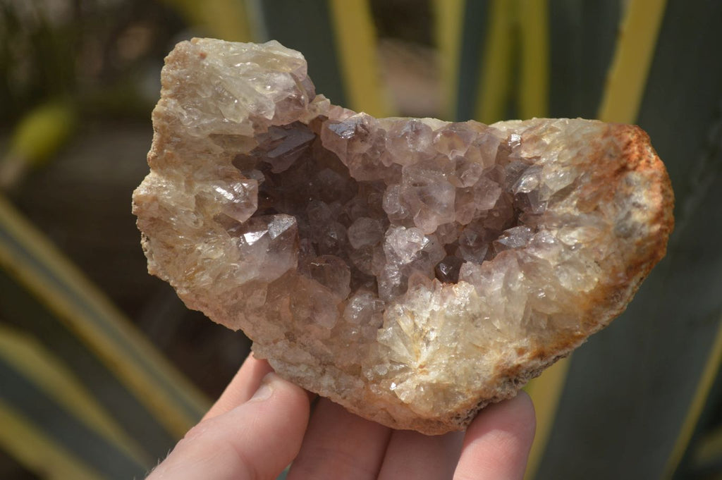 Natural Zululand Amethyst Agate Geodes x 6 from Jozini, South Africa - Toprock Gemstones and Minerals 