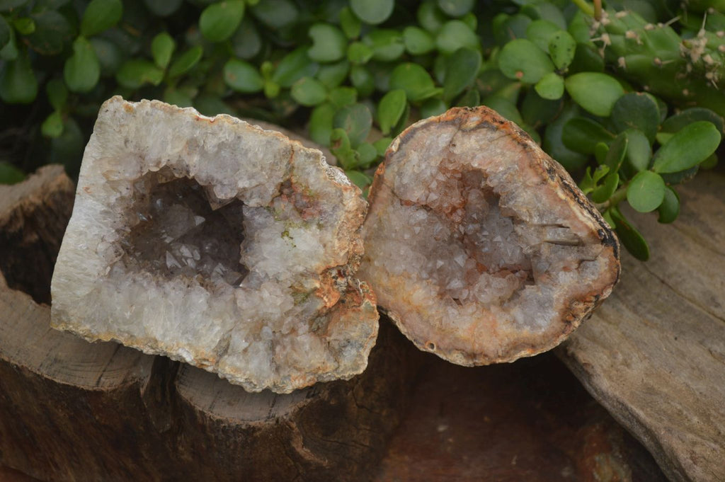 Natural Zululand Amethyst Agate Geodes x 6 from Jozini, South Africa - Toprock Gemstones and Minerals 