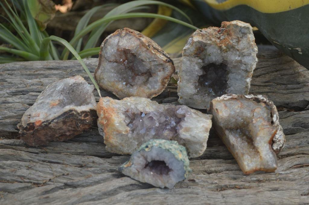 Natural Zululand Amethyst Agate Geodes x 6 from Jozini, South Africa - Toprock Gemstones and Minerals 