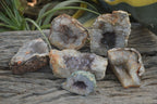 Natural Zululand Amethyst Agate Geodes x 6 from Jozini, South Africa - Toprock Gemstones and Minerals 