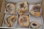 Natural Zululand Amethyst Agate Geodes x 6 from Jozini, South Africa - Toprock Gemstones and Minerals 