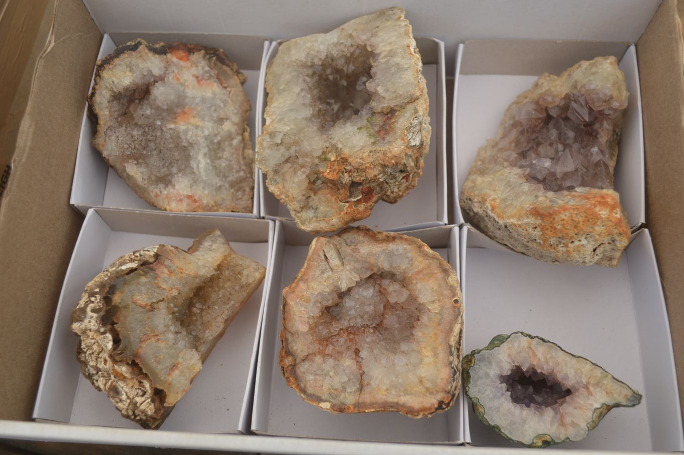 Natural Zululand Amethyst Agate Geodes x 6 from Jozini, South Africa - Toprock Gemstones and Minerals 