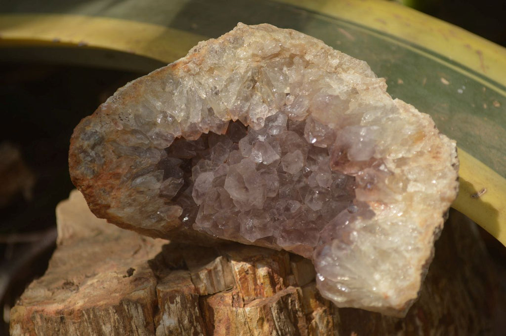 Natural Zululand Amethyst Agate Geodes x 6 from Jozini, South Africa - Toprock Gemstones and Minerals 