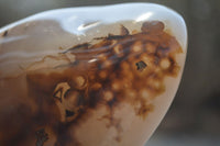 Polished Dendritic Agate Standing Free Forms x 2 From Madagascar